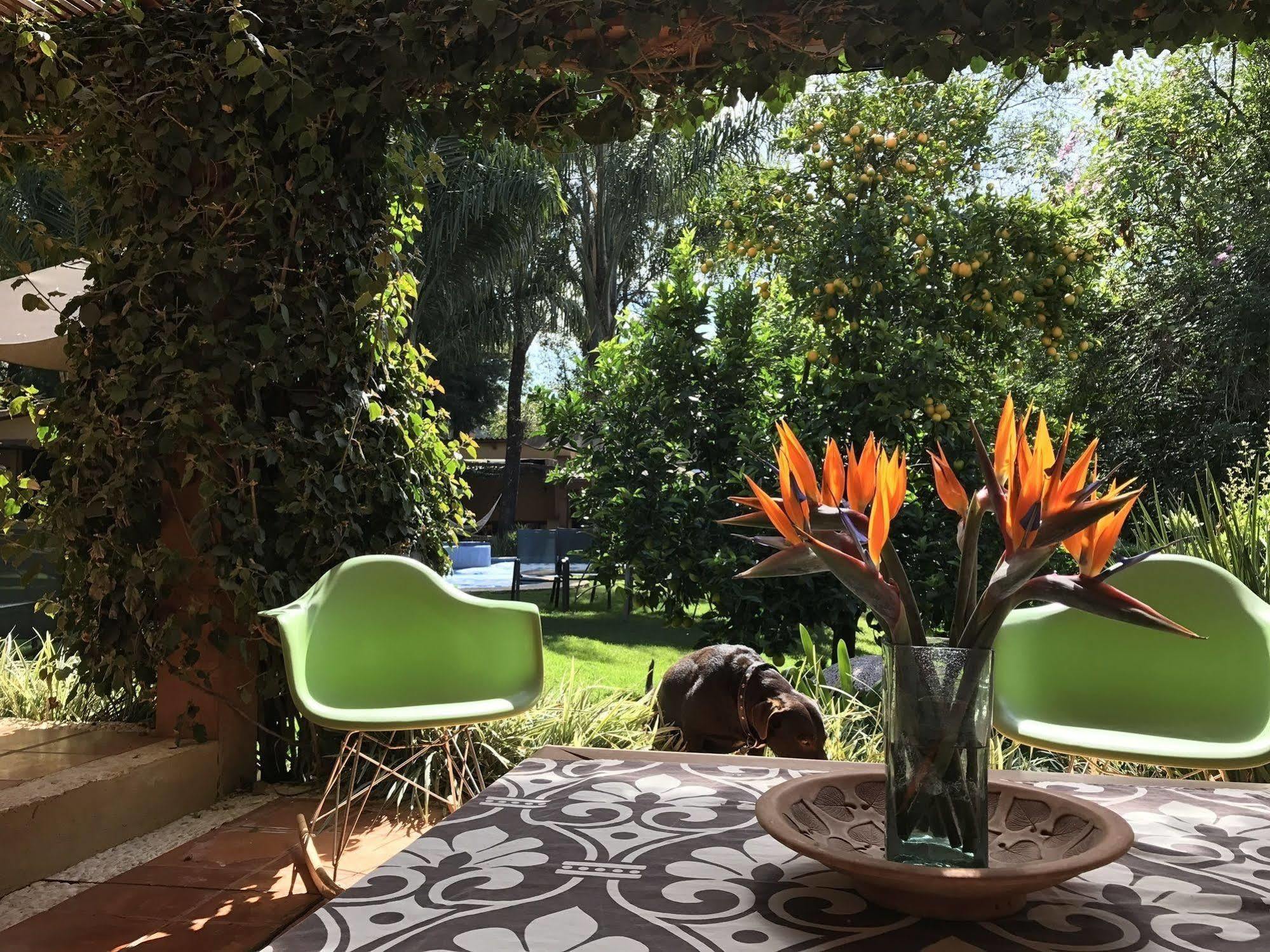 La Joya Del Viento Bed and Breakfast Valle de Bravo Buitenkant foto